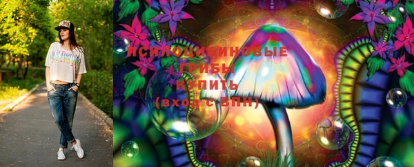 стафф Медвежьегорск