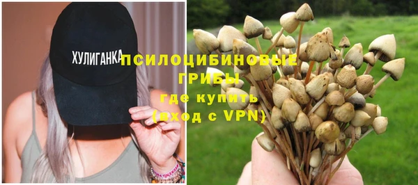 стафф Медвежьегорск